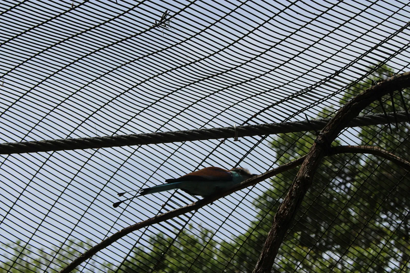 Jacksonville Zoo and Gardens