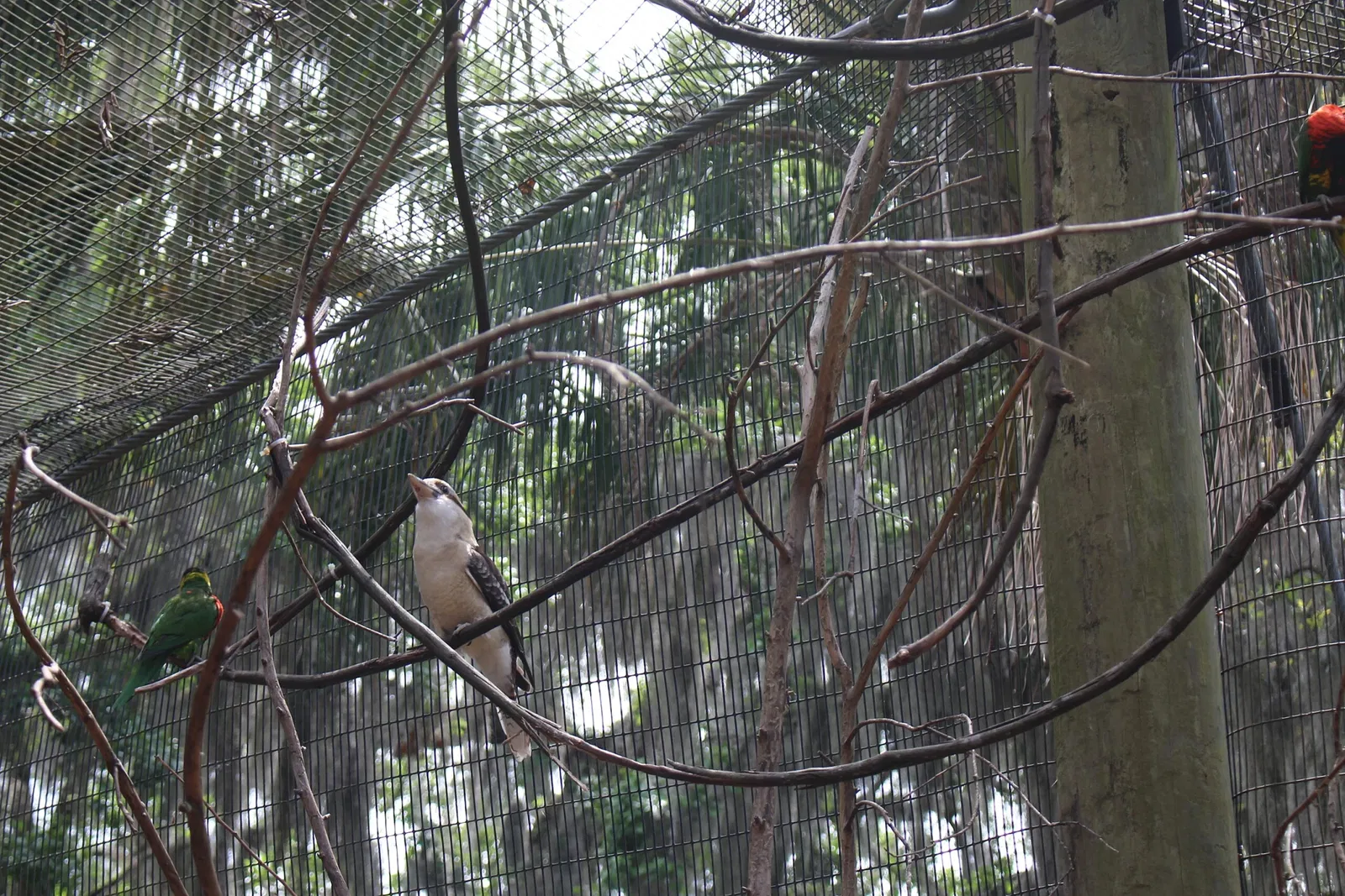 Jacksonville Zoo and Gardens