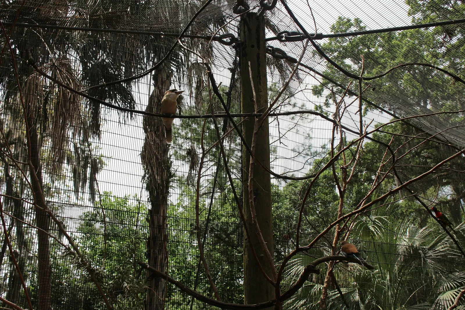 Jacksonville Zoo and Gardens