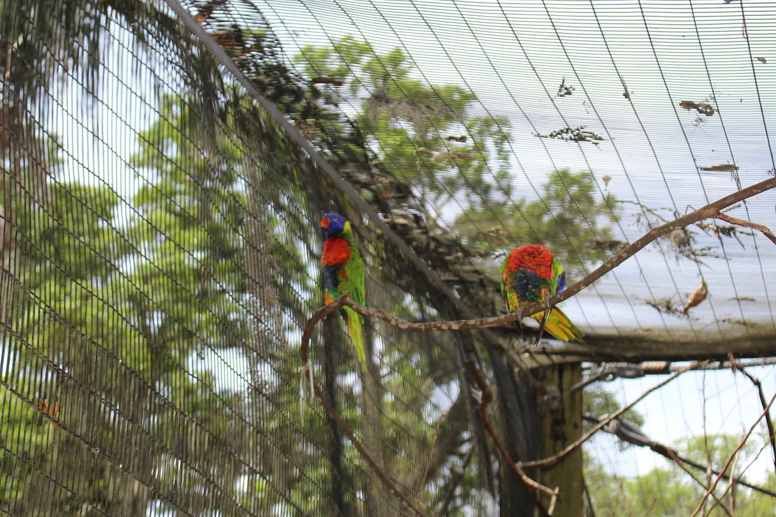 Jacksonville Zoo and Gardens