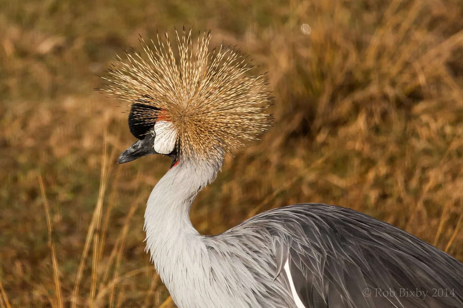 Jacksonville Zoo and Gardens