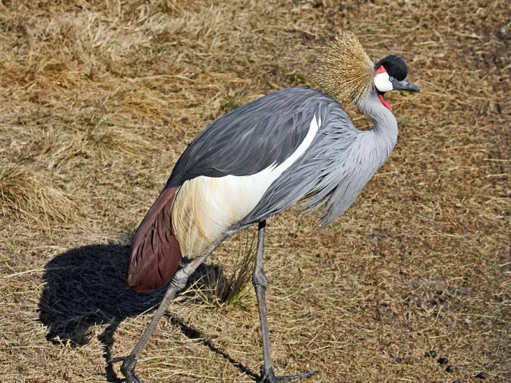 Jacksonville Zoo and Gardens