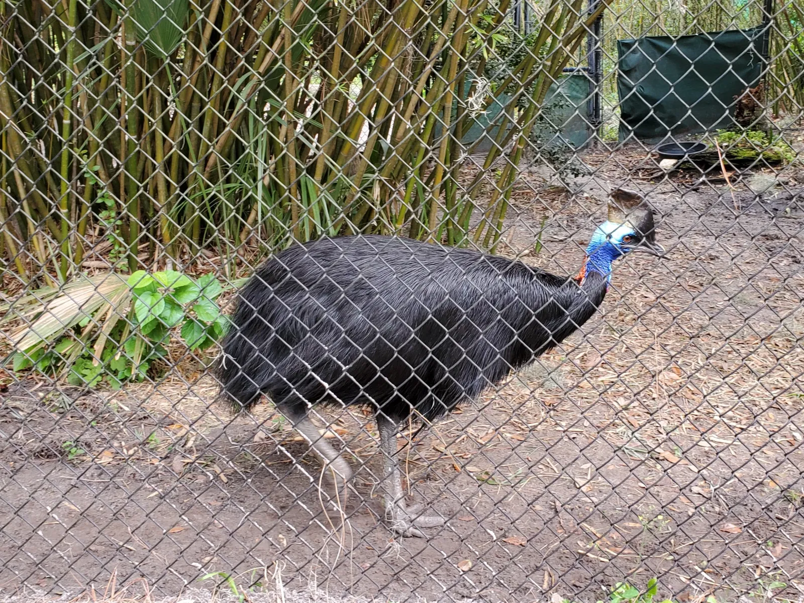 Jacksonville Zoo and Gardens