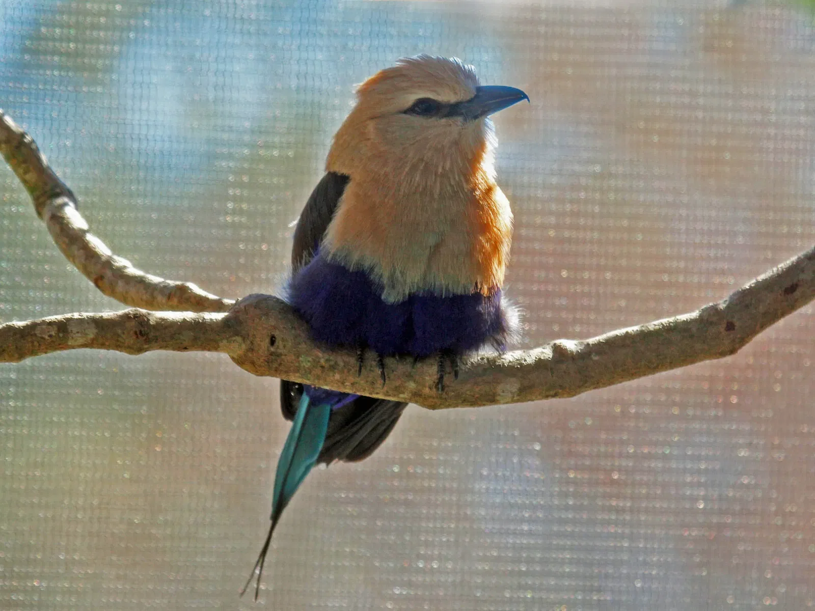 Jacksonville Zoo and Gardens