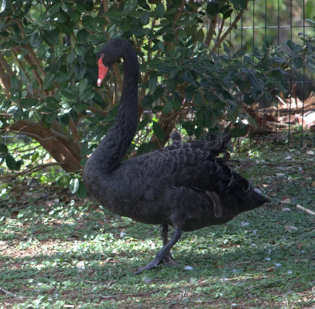 Jacksonville Zoo and Gardens