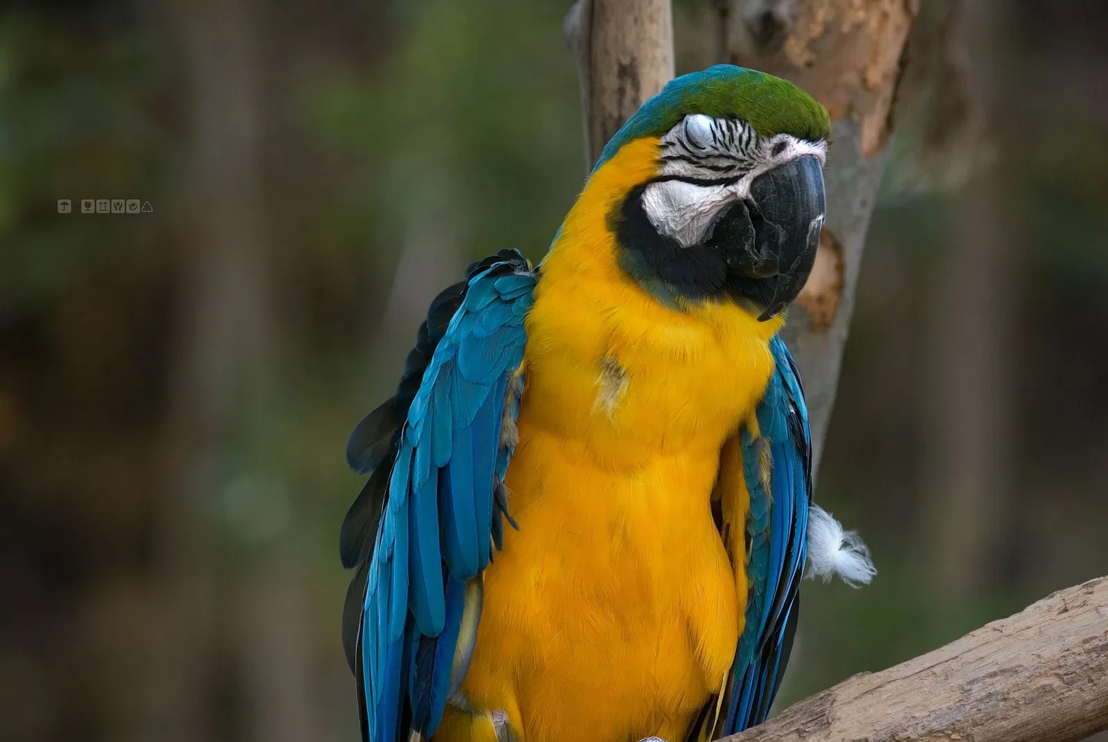 Jacksonville Zoo and Gardens