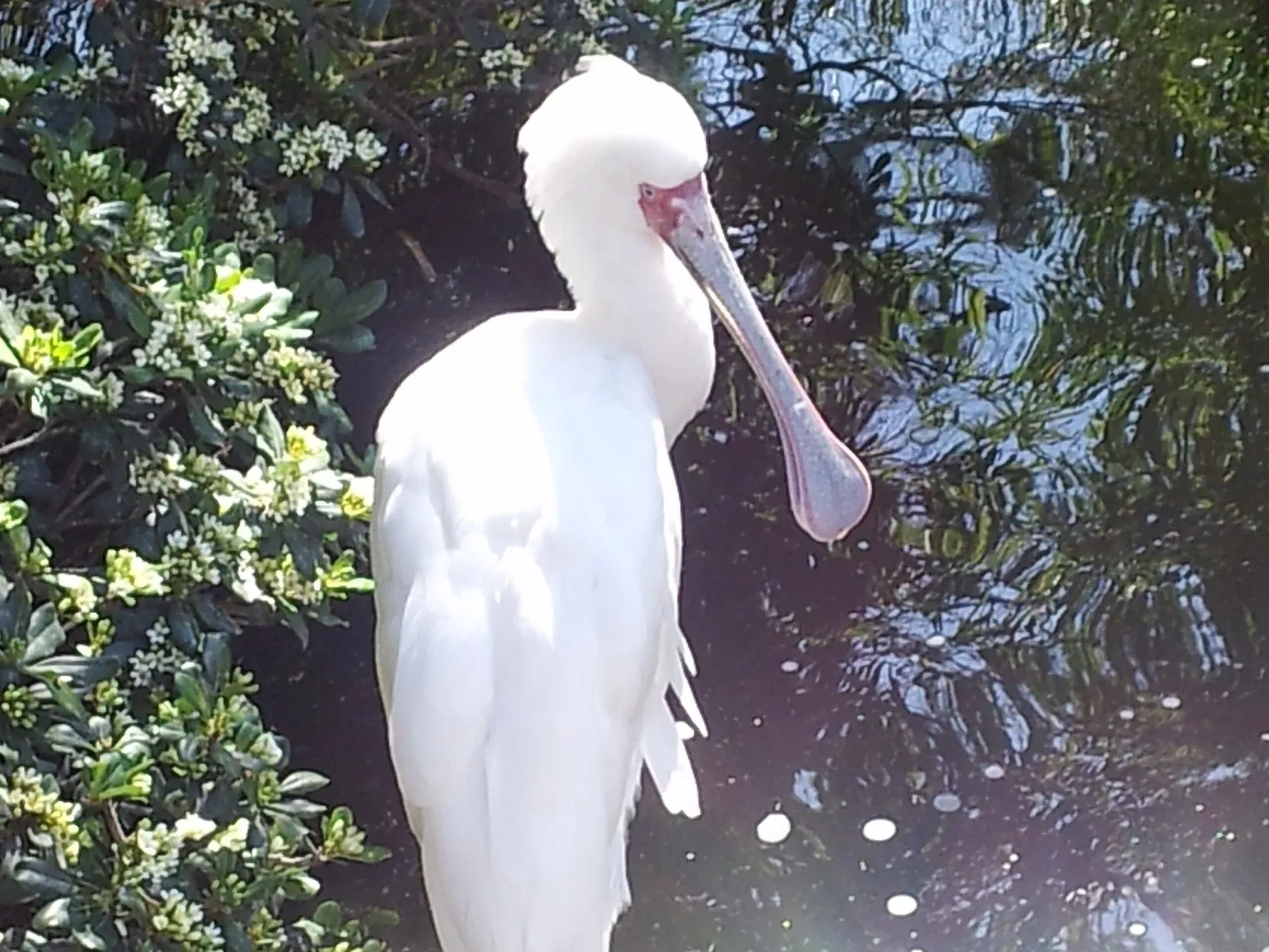 Jacksonville Zoo and Gardens