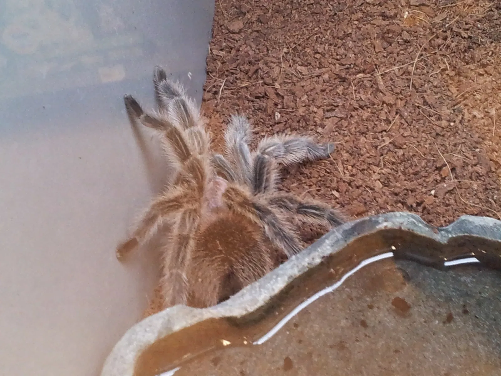 Jacksonville Zoo and Gardens