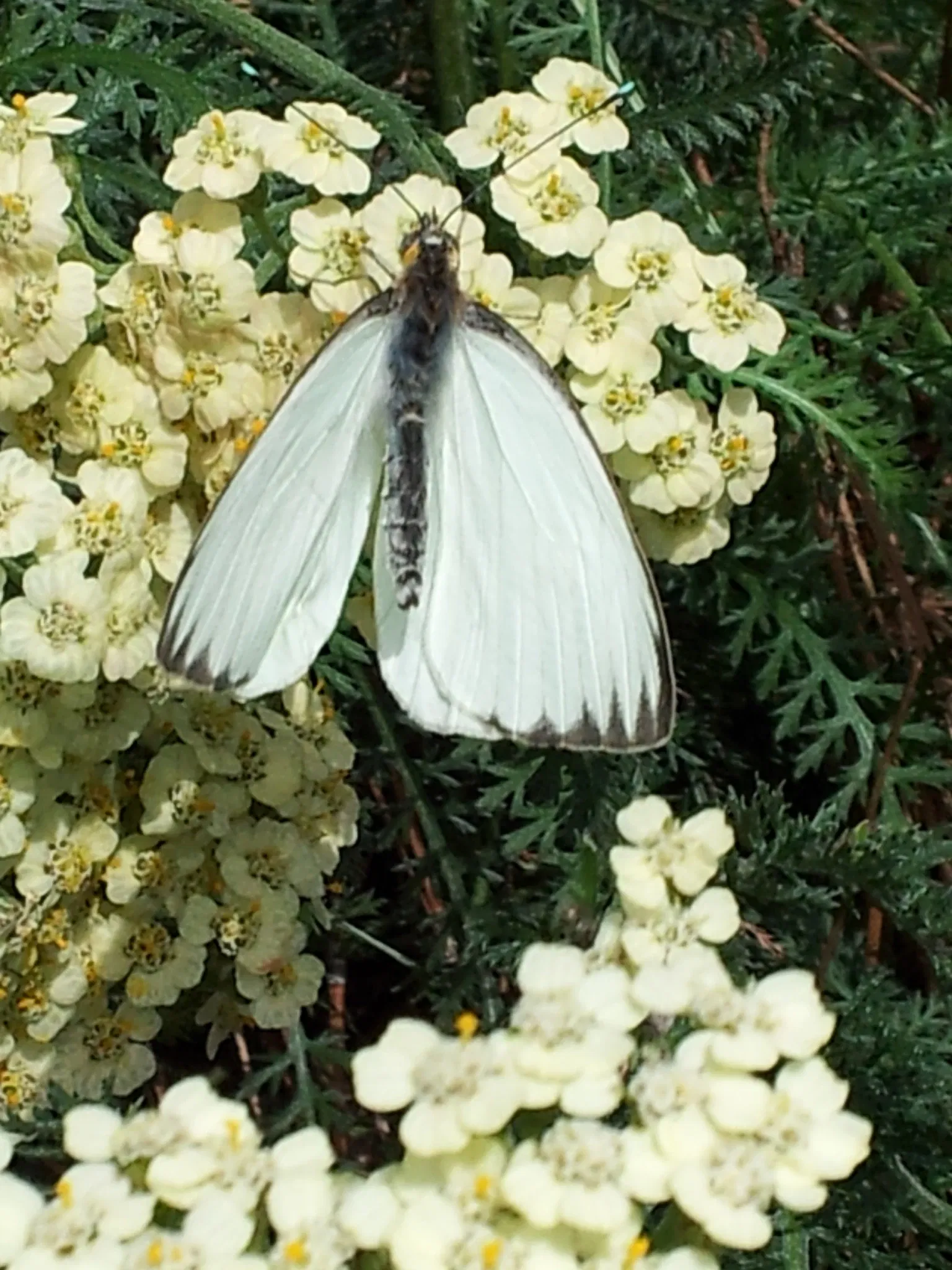 Jacksonville Zoo and Gardens