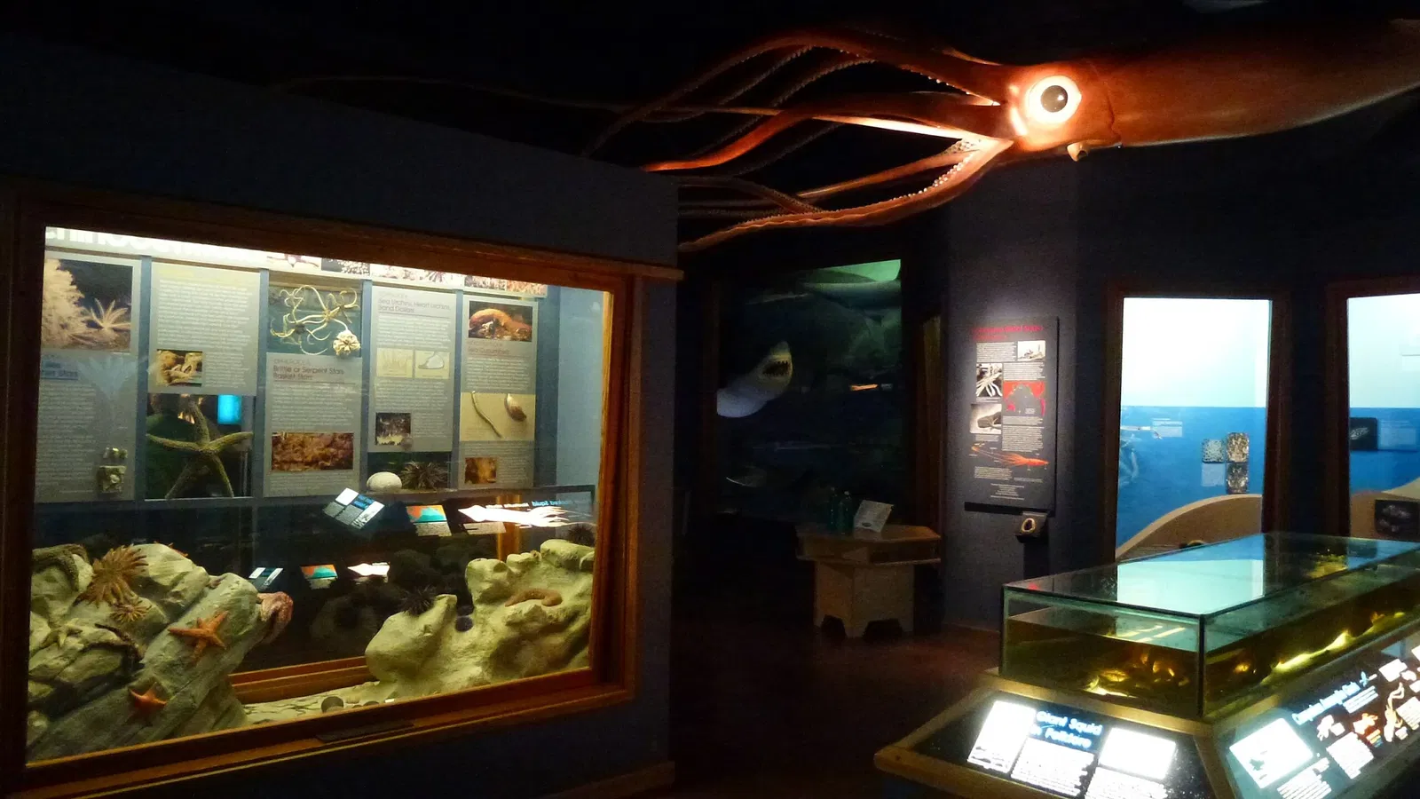 Santa Barbara Museum of Natural History