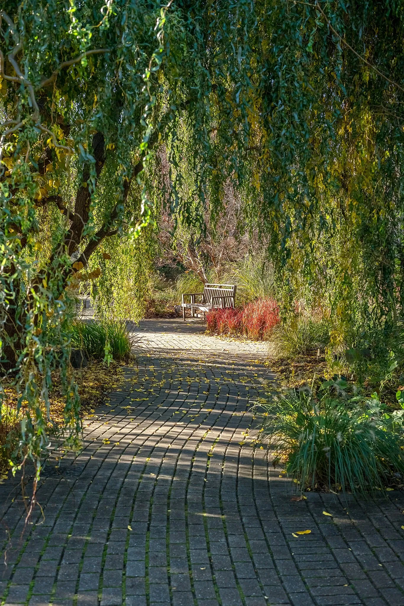 Jardín botánico Olbrich