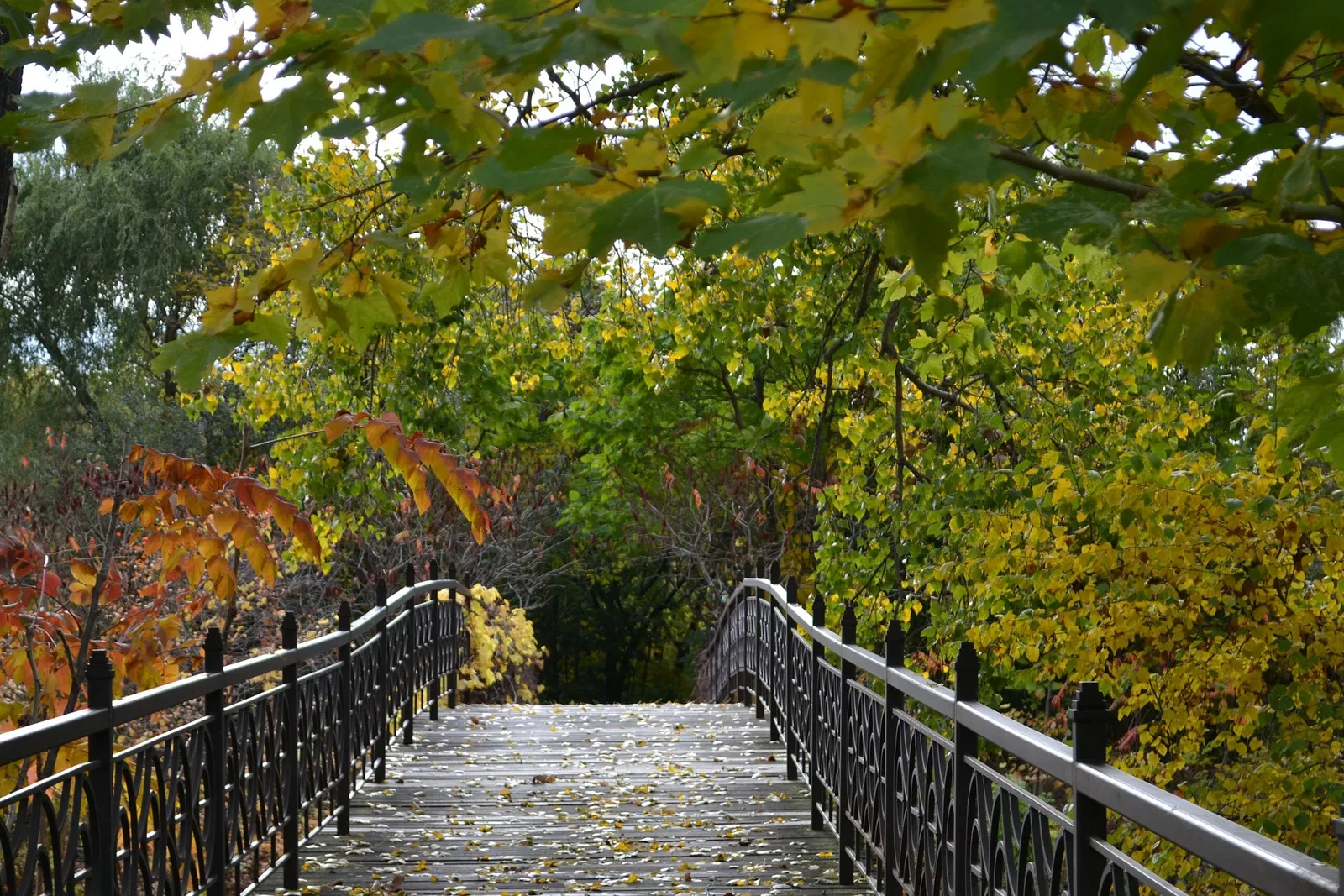Jardín botánico Olbrich