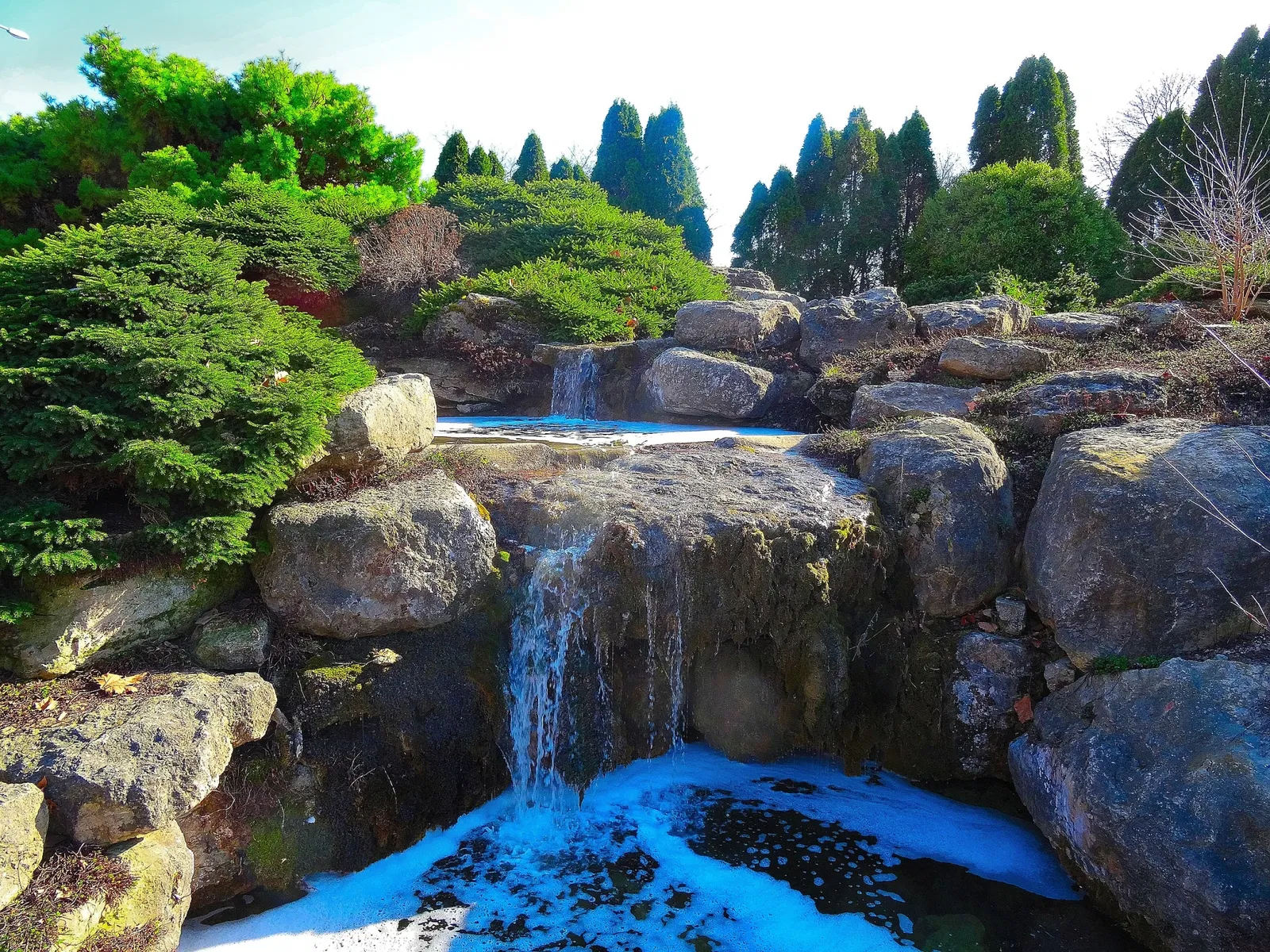 Jardín botánico Olbrich