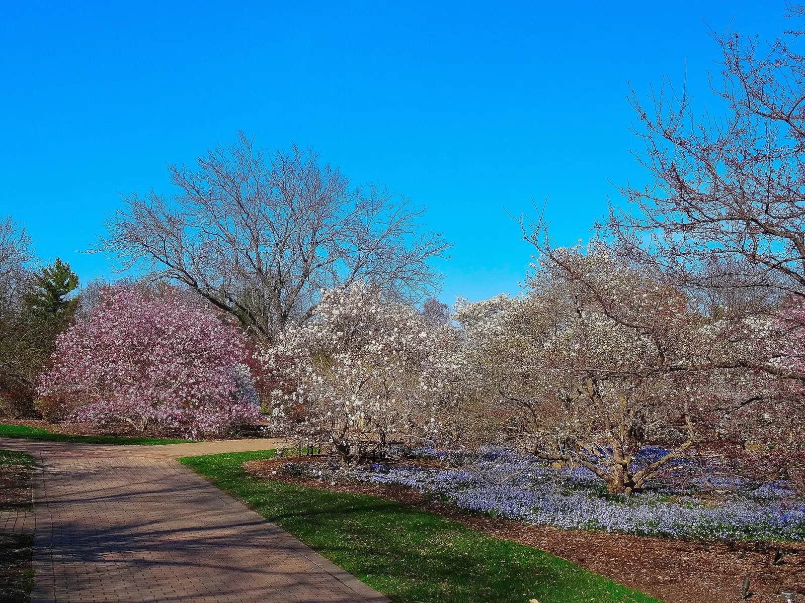 Olbrich Botanical Gardens