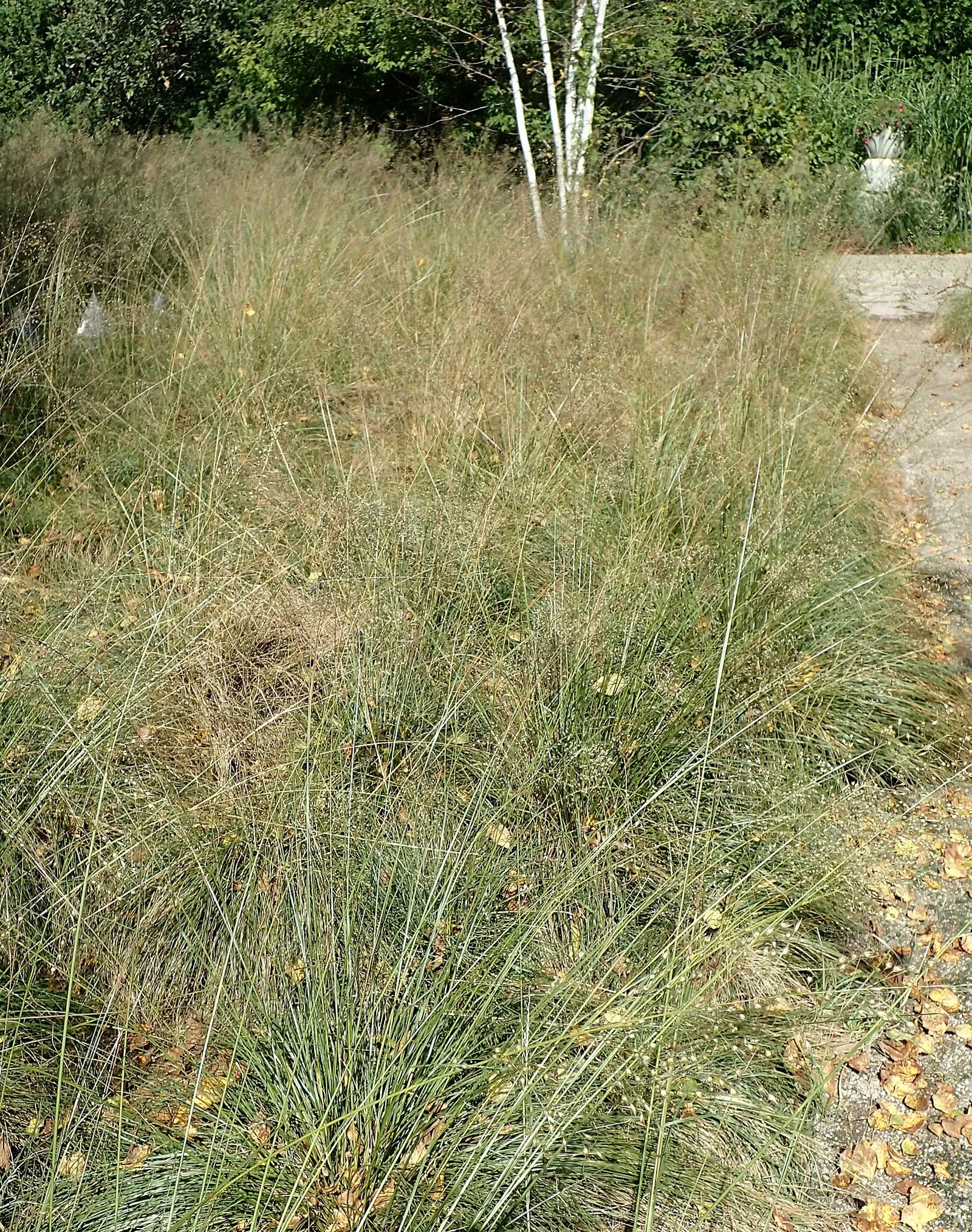 Jardín botánico Olbrich