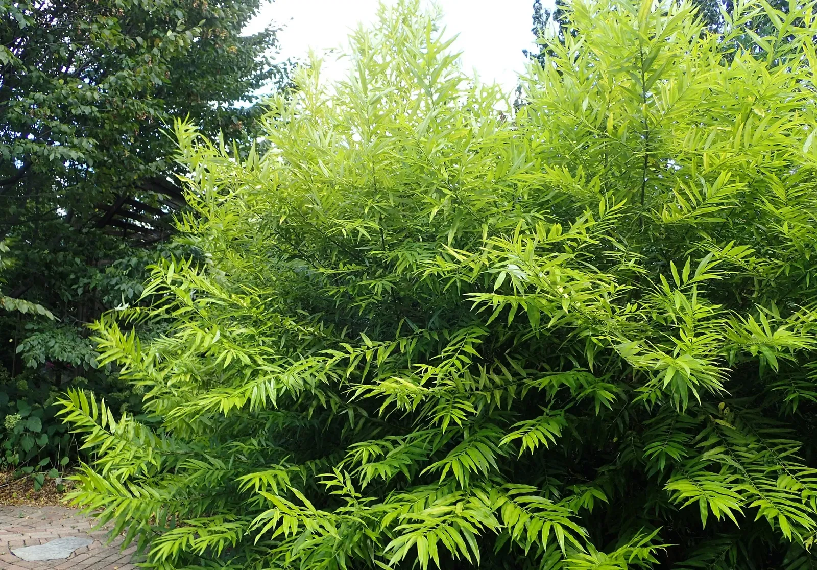 Olbrich Botanical Gardens