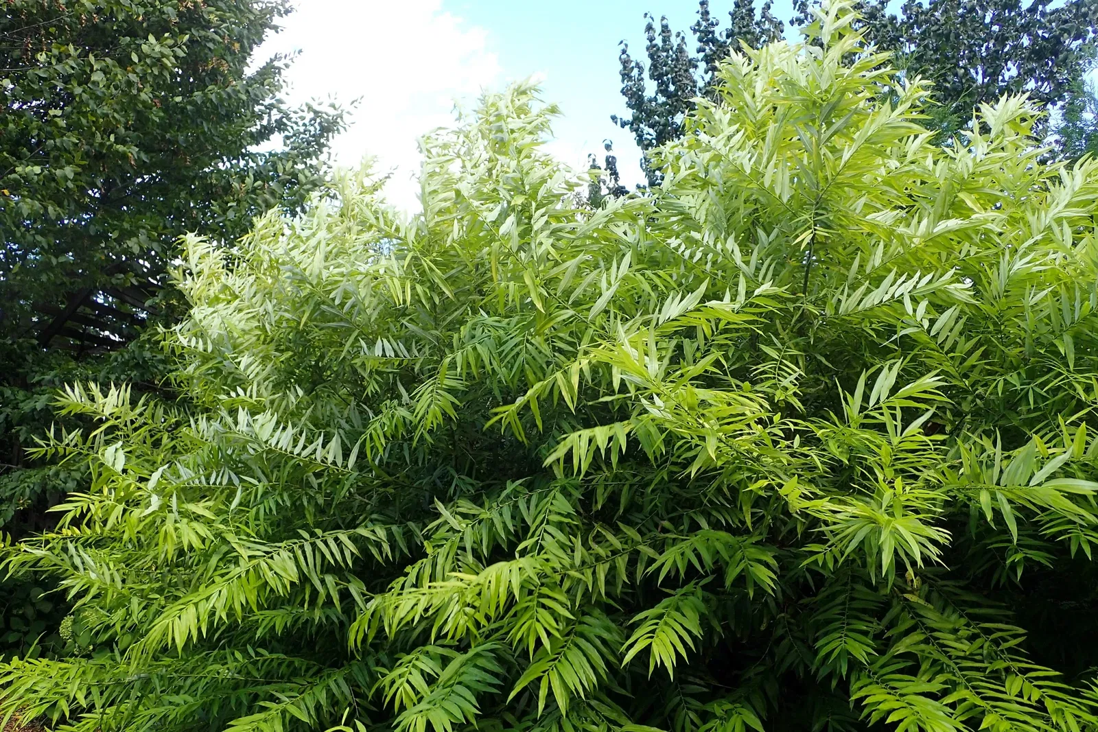 Jardín botánico Olbrich