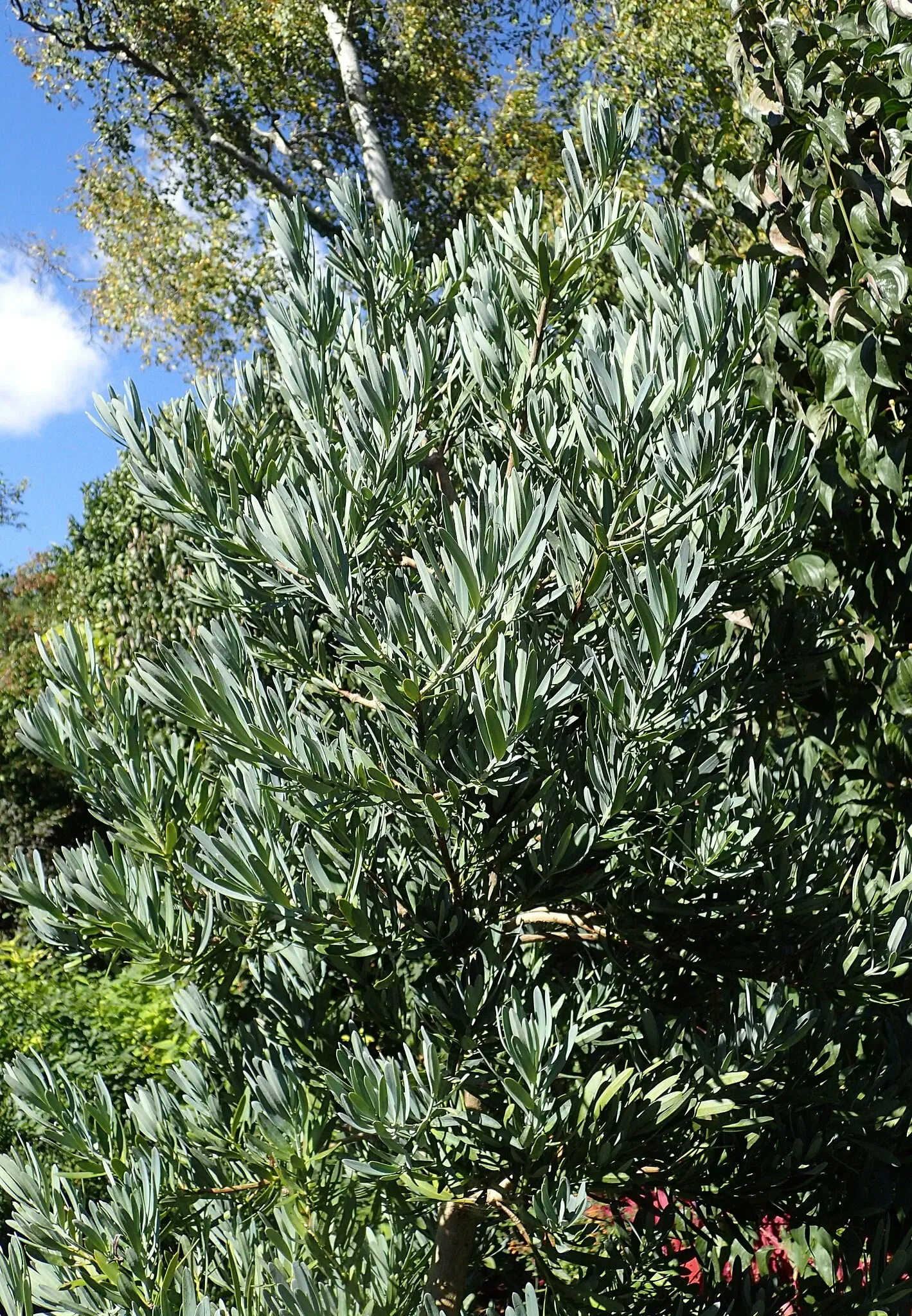 Jardín botánico Olbrich