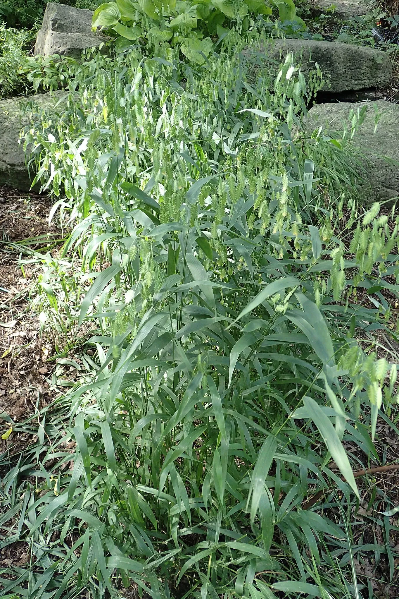 Olbrich Botanical Gardens