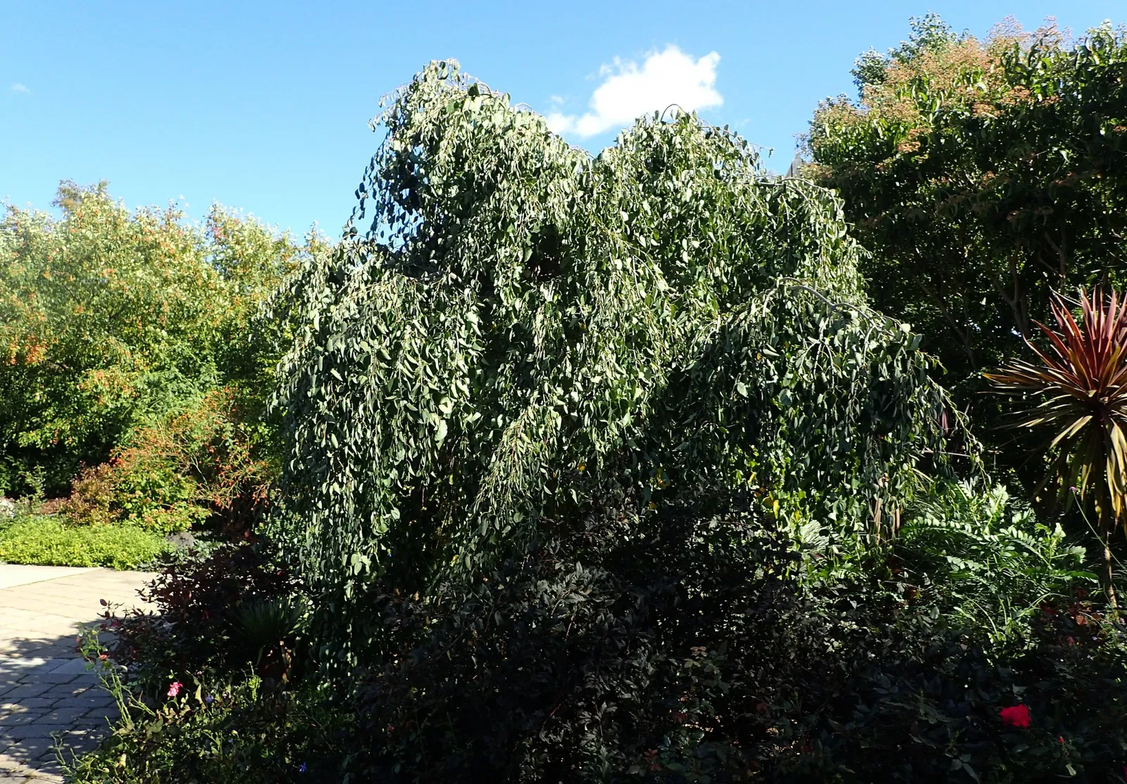 Olbrich Botanical Gardens