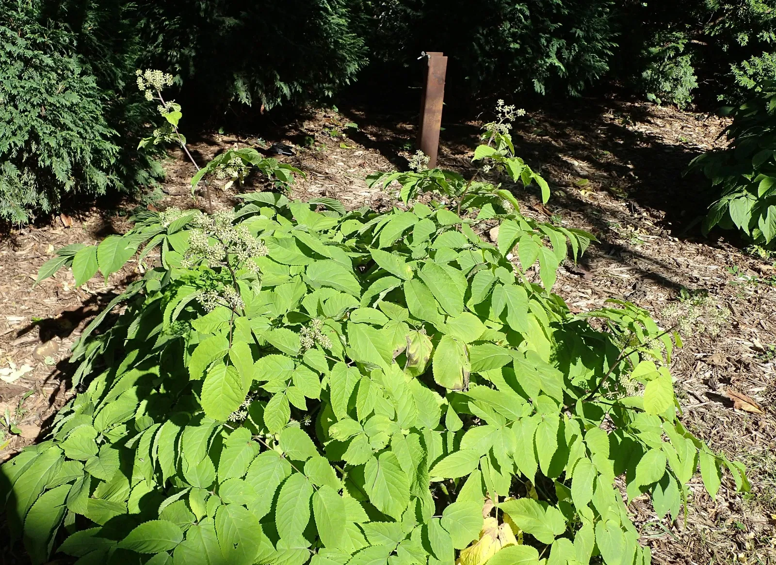 Olbrich Botanical Gardens