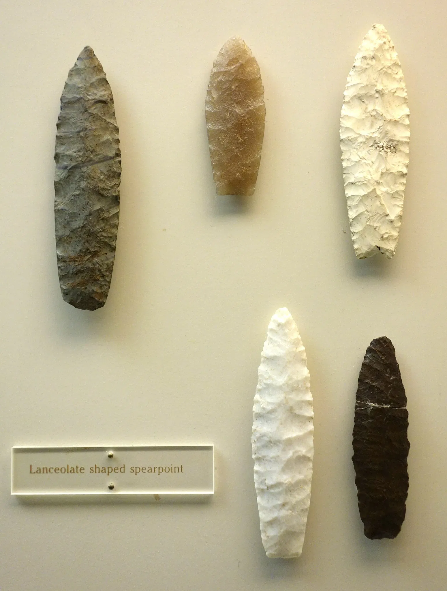 Wisconsin Historical Museum