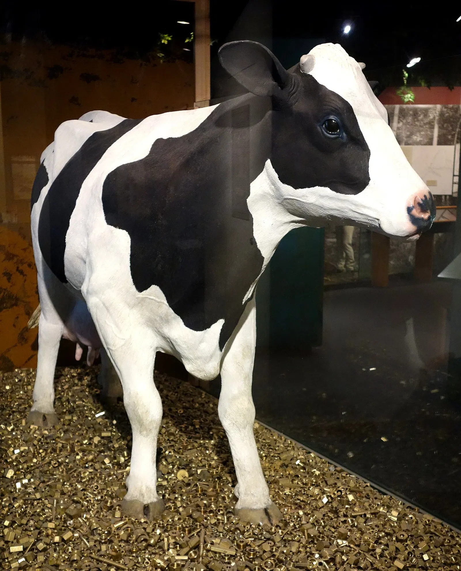 Wisconsin Historical Museum