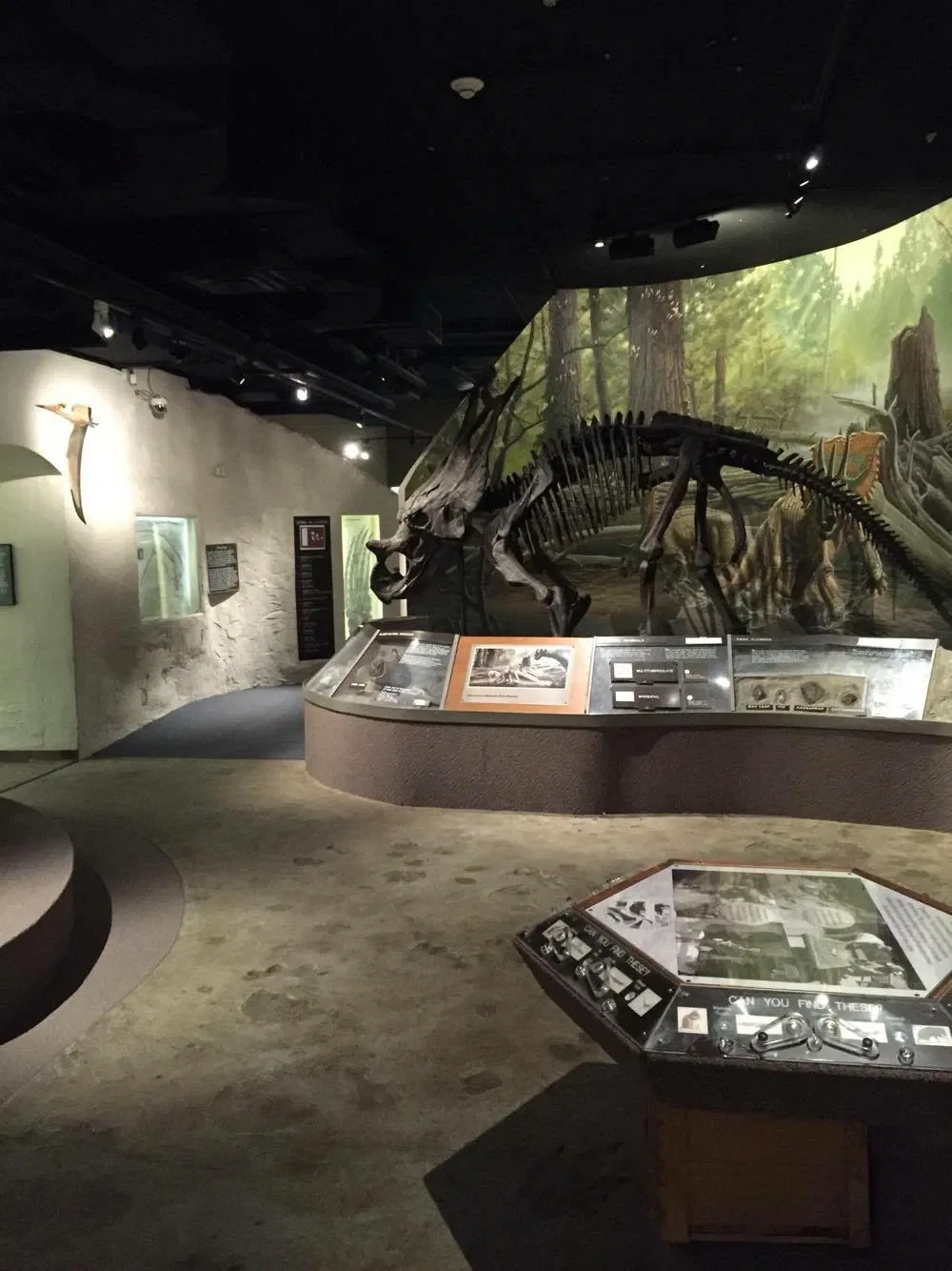 University of Nebraska State Museum