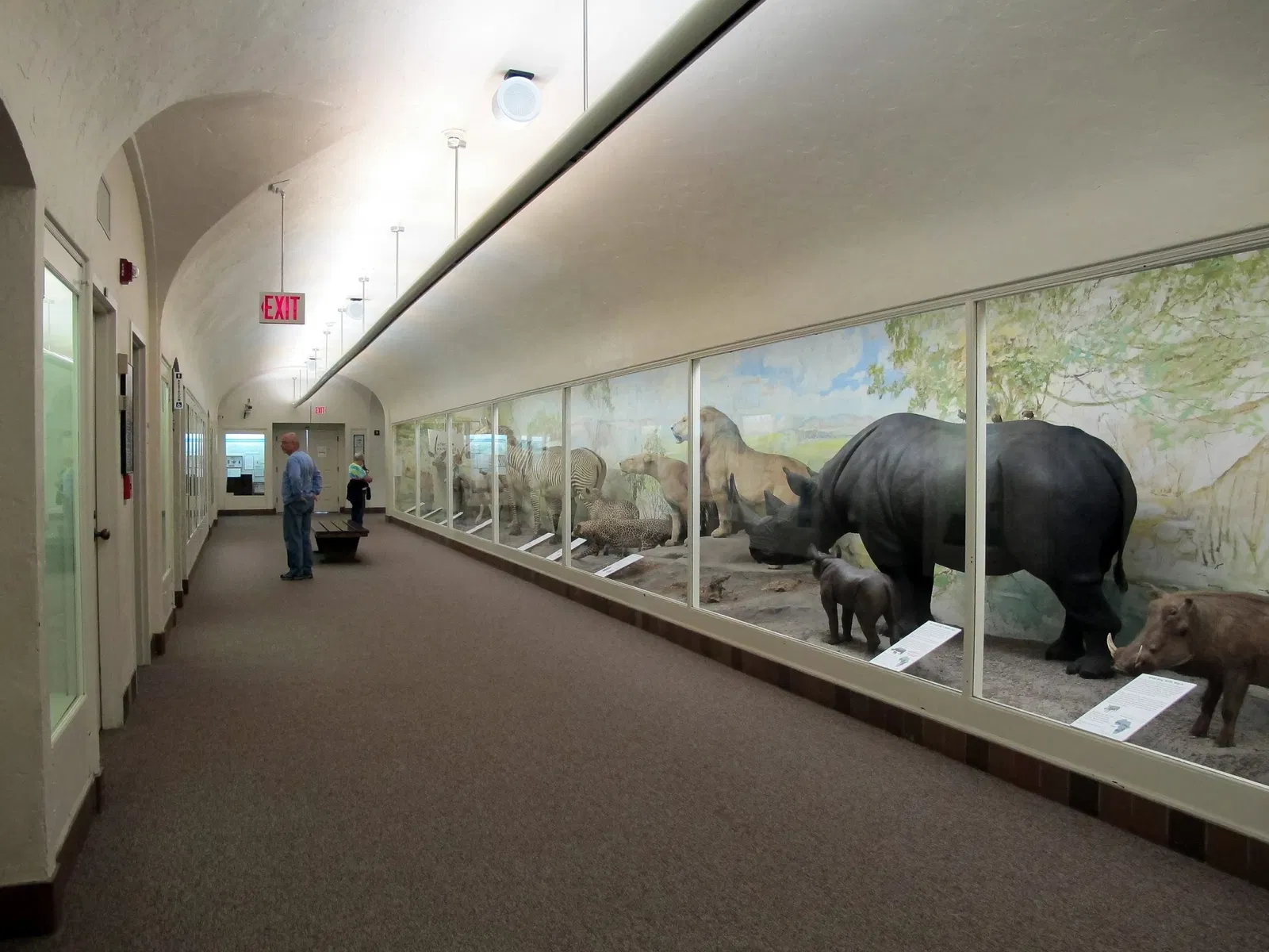 University of Nebraska State Museum