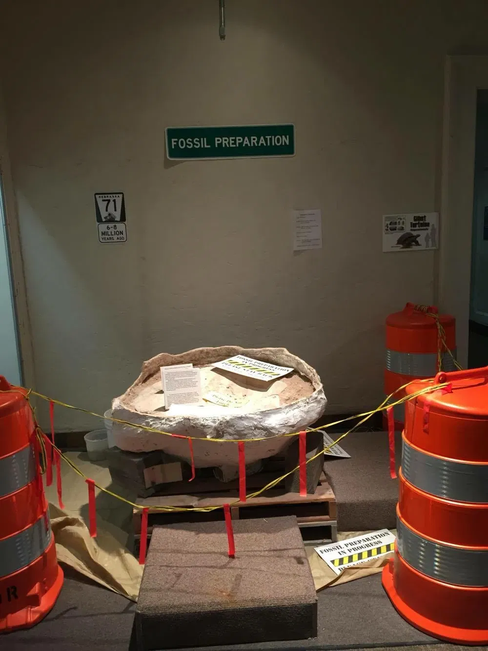 University of Nebraska State Museum