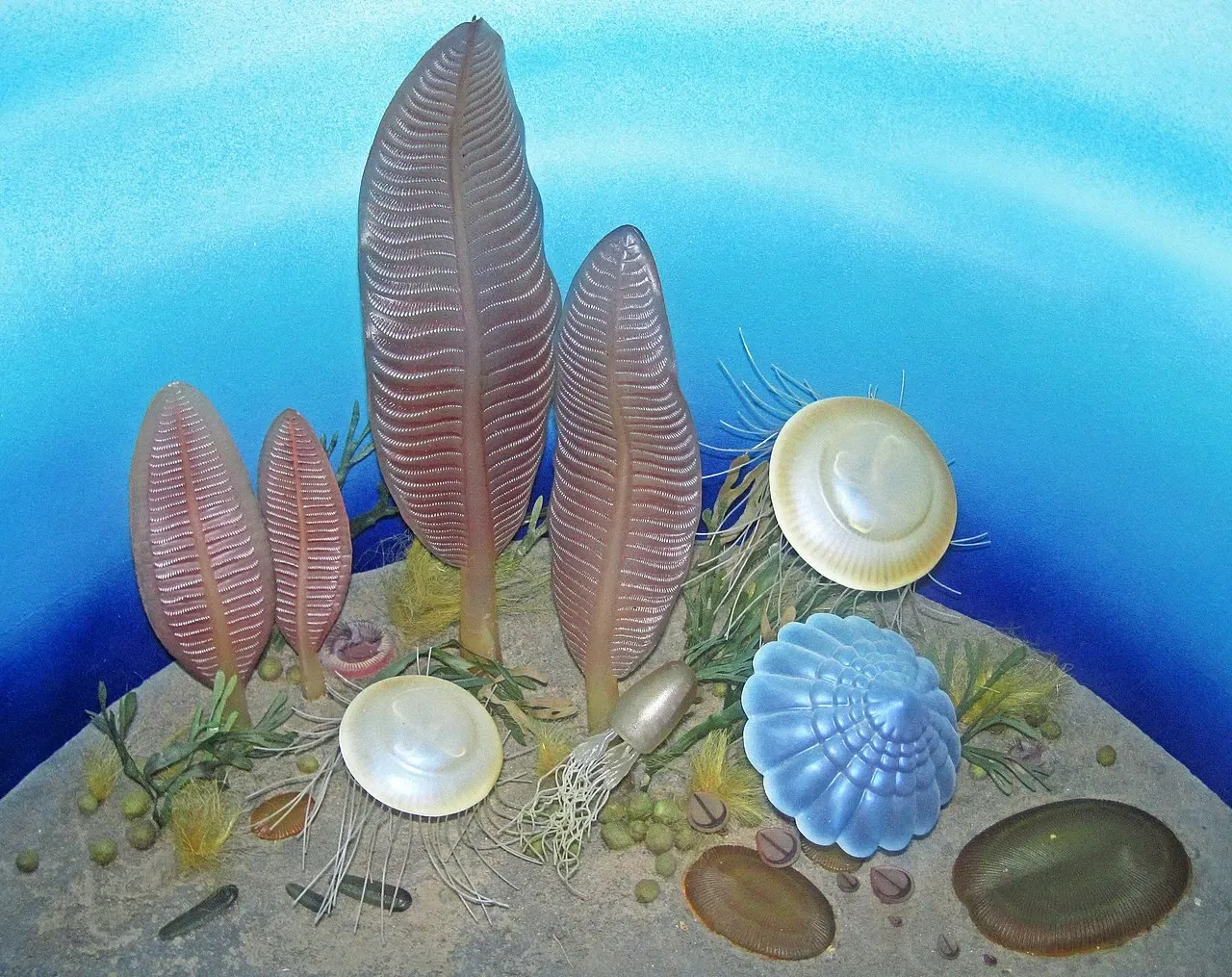 University of Nebraska State Museum