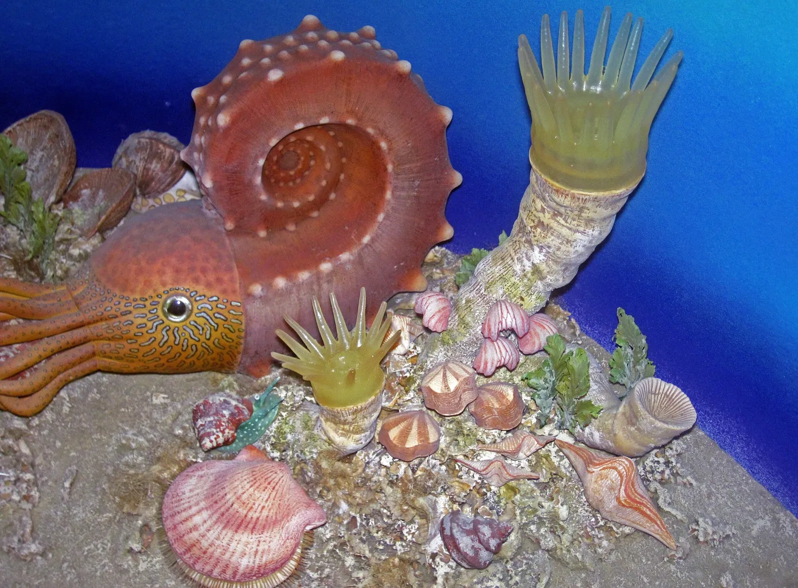 University of Nebraska State Museum