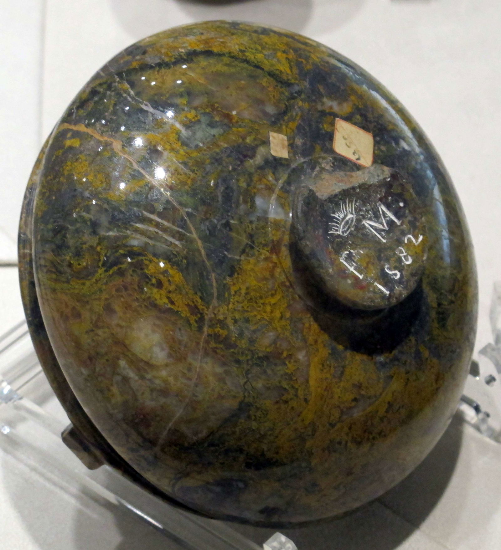 Museo di Storia Naturale di Firenze - Geologia e Paleontologia