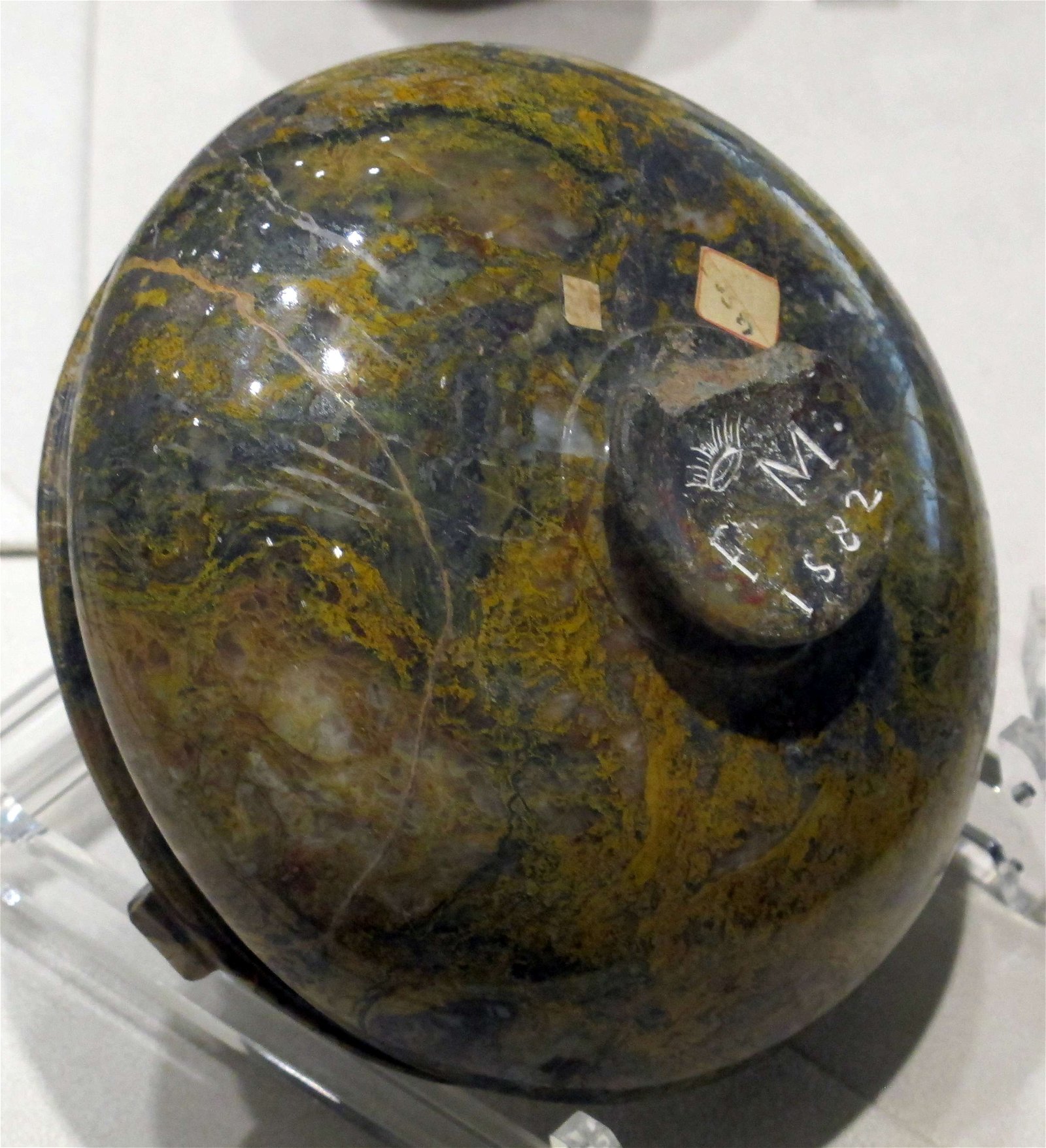 University of Florence Natural History Museum - Geology and Paleontology