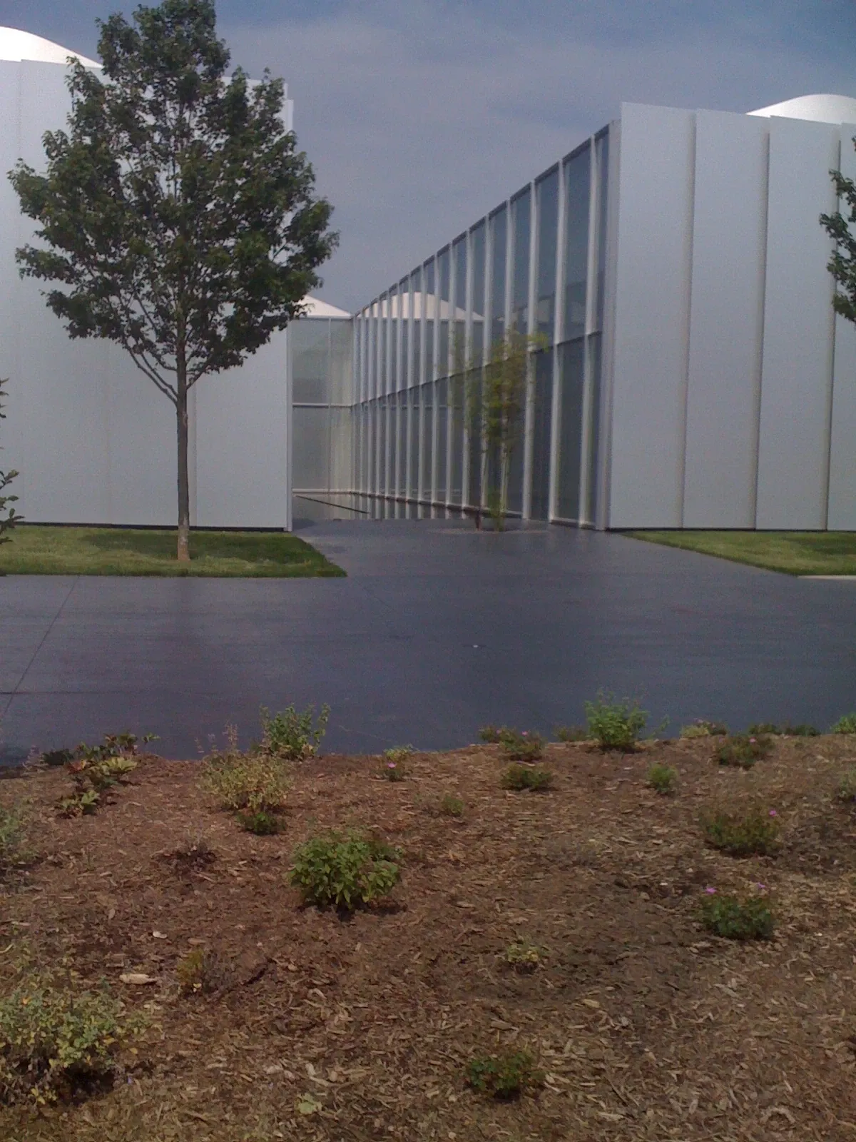 Museo d'arte della Carolina del Nord