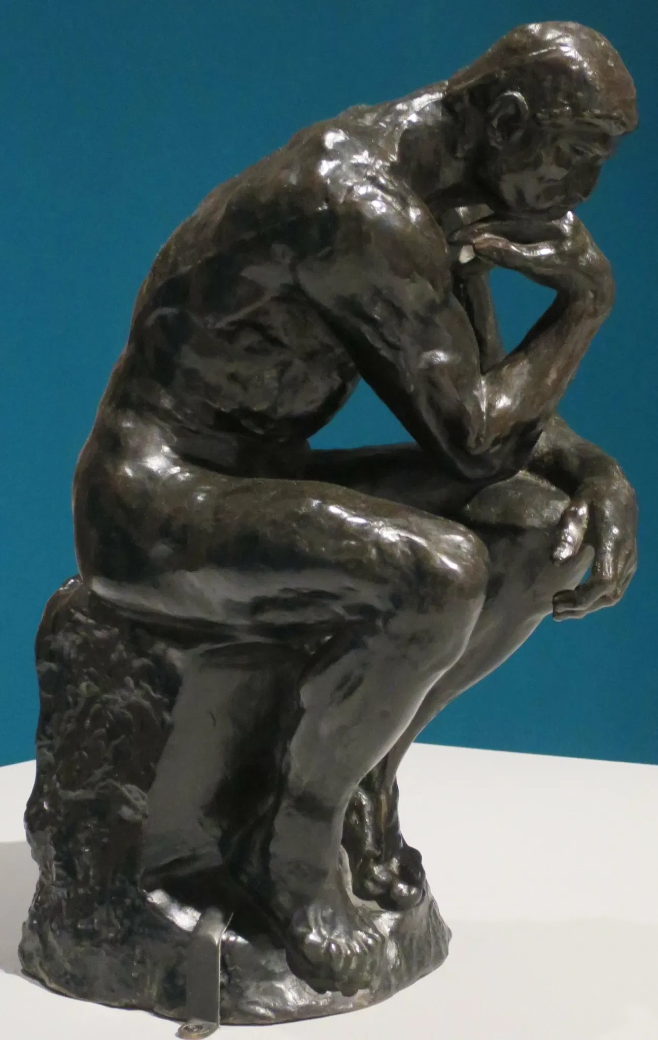 Museo d'arte della Carolina del Nord