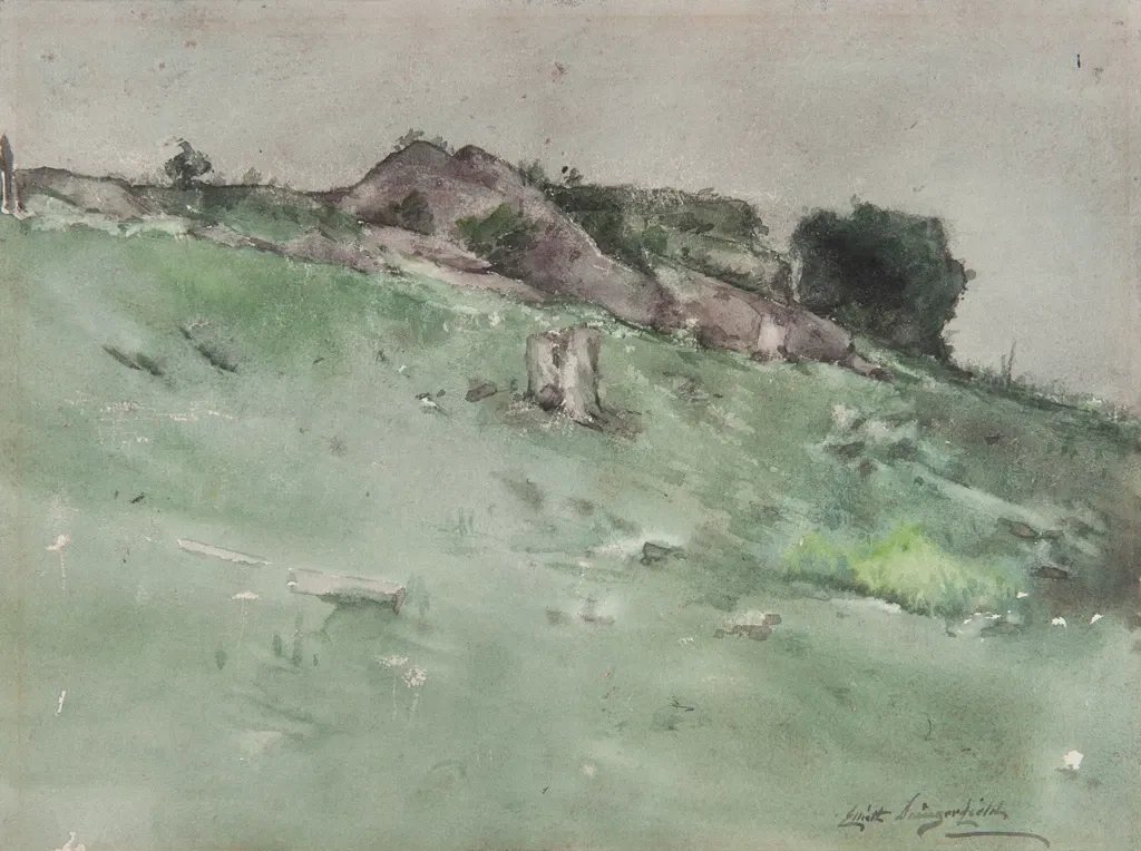 Museo d'arte della Carolina del Nord