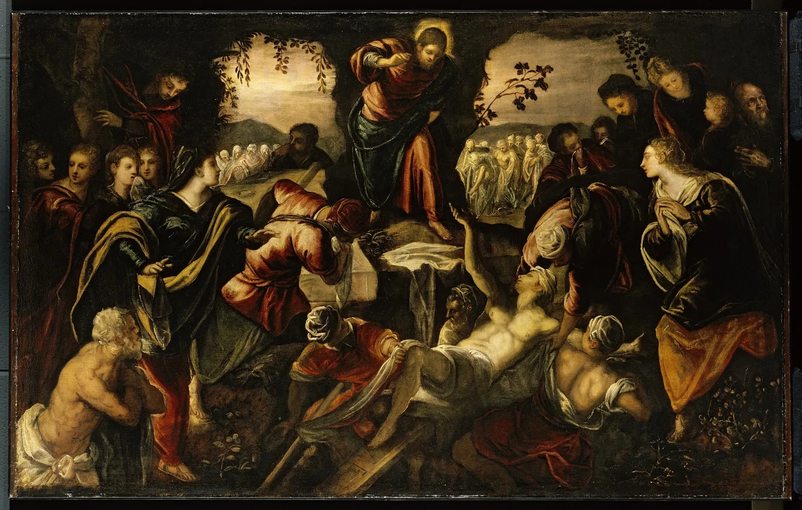 Museo d'arte della Carolina del Nord