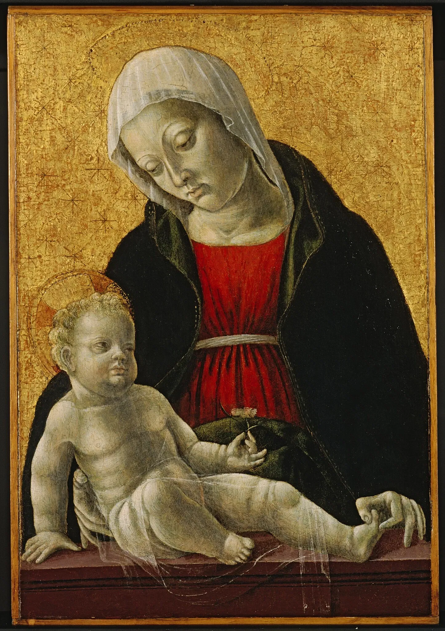 Museo d'arte della Carolina del Nord