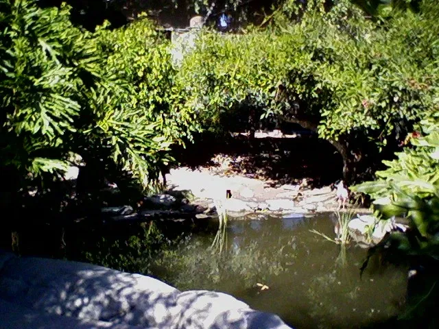 Zoológico de Santa Ana