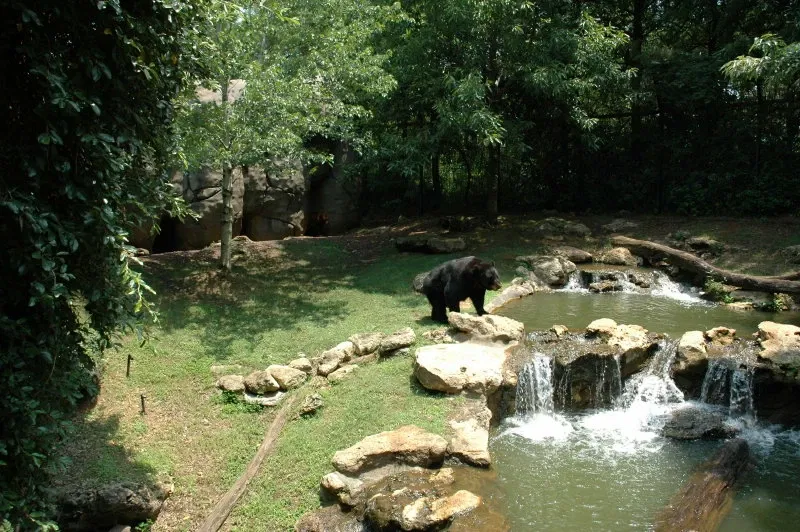 Montgomery Zoo