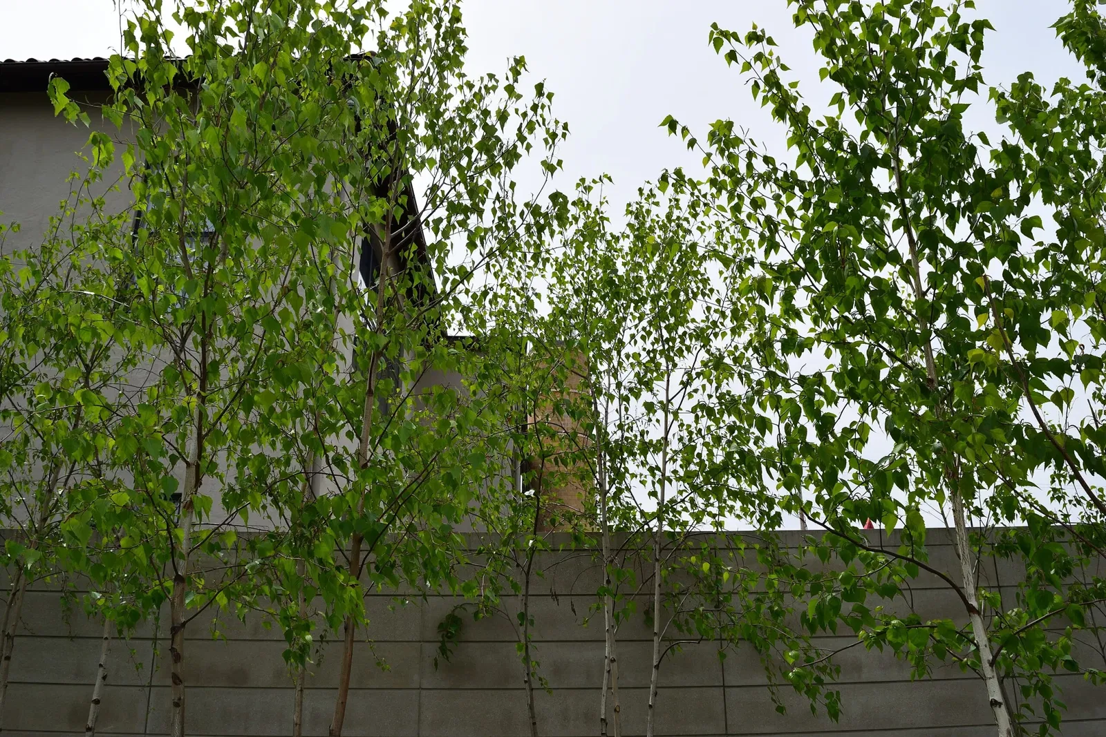 Museo de Arte de Columbus