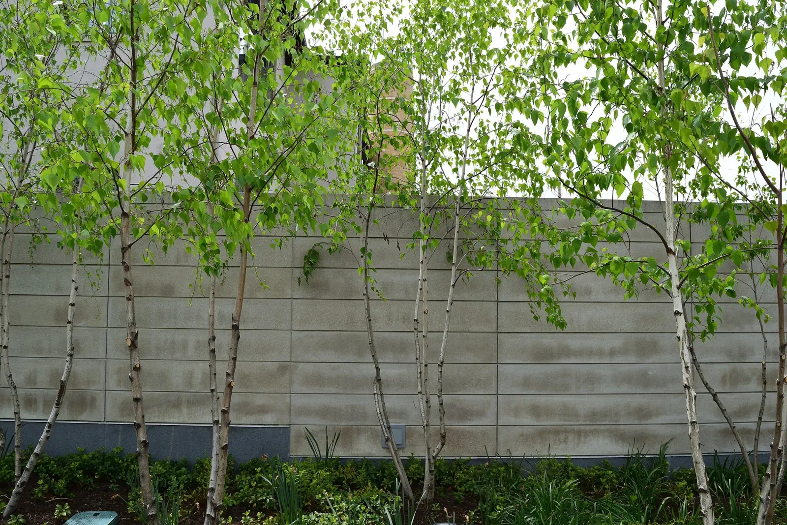 Columbus Museum of Art