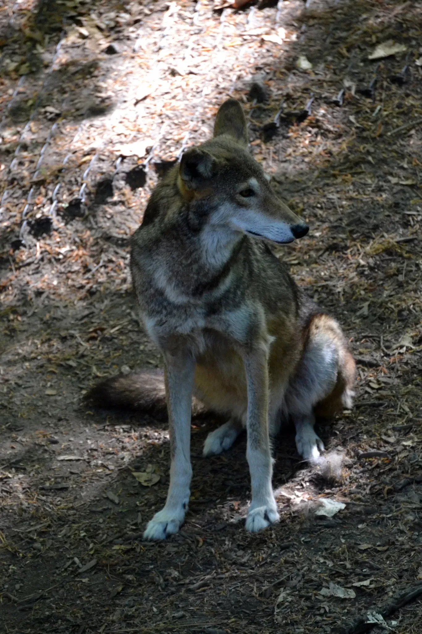 Virginia Living Museum
