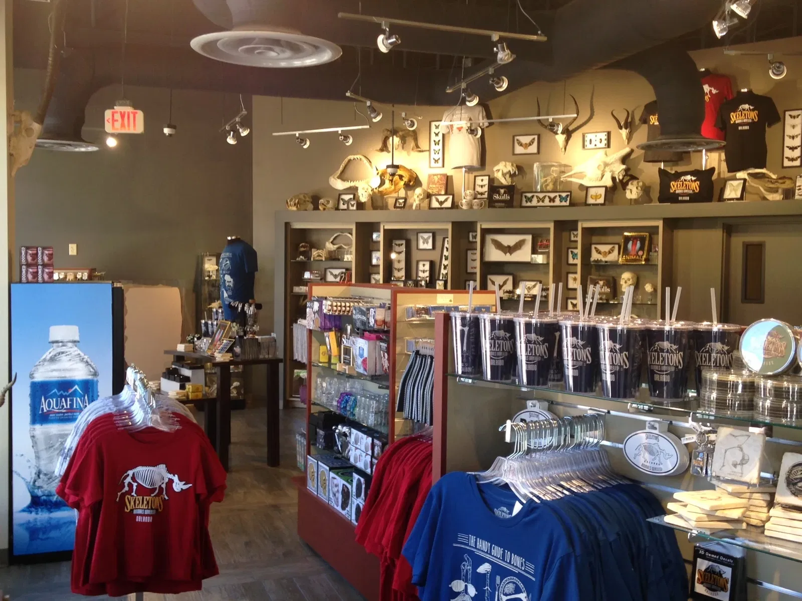 Skeletons: Museum of Osteology