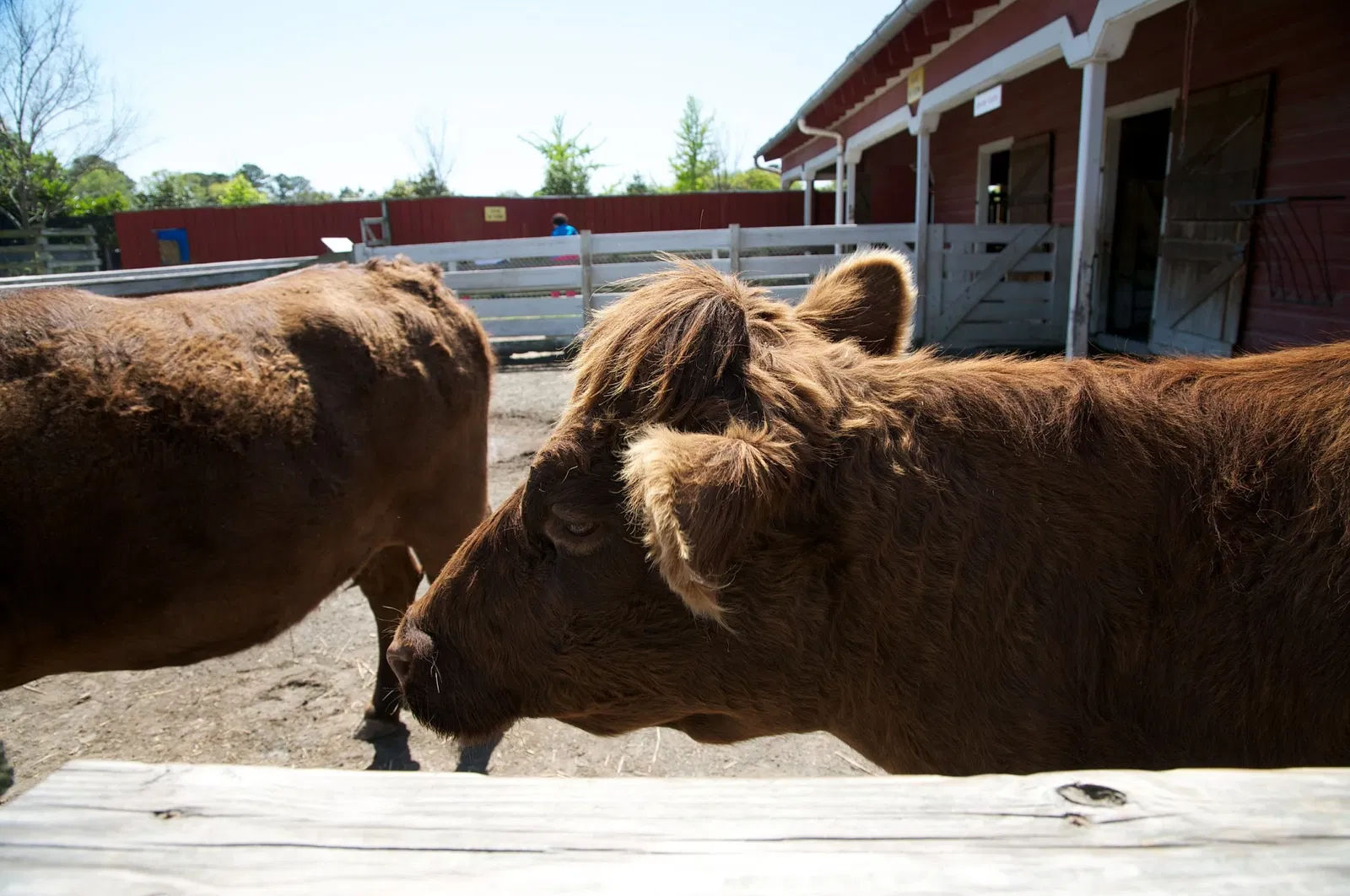 Virginia Zoological Park