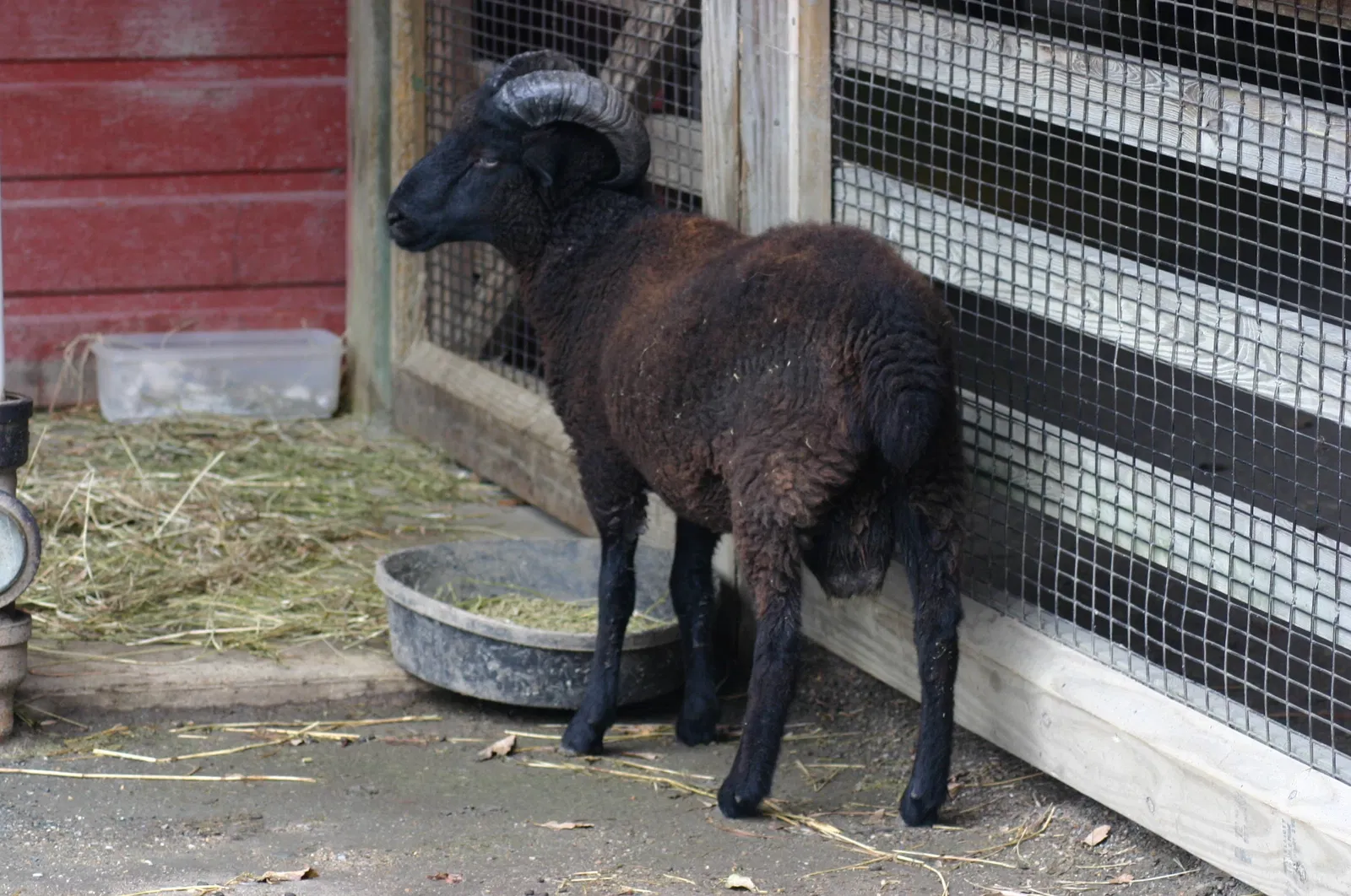 Virginia Zoological Park
