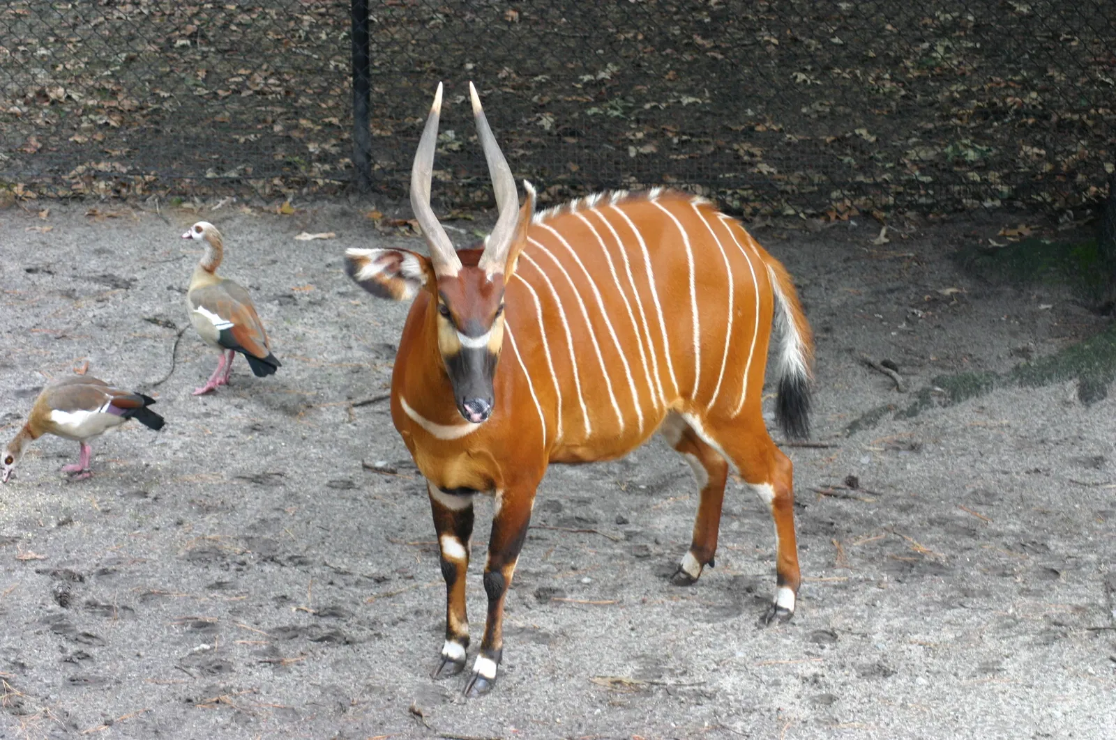 Virginia Zoological Park