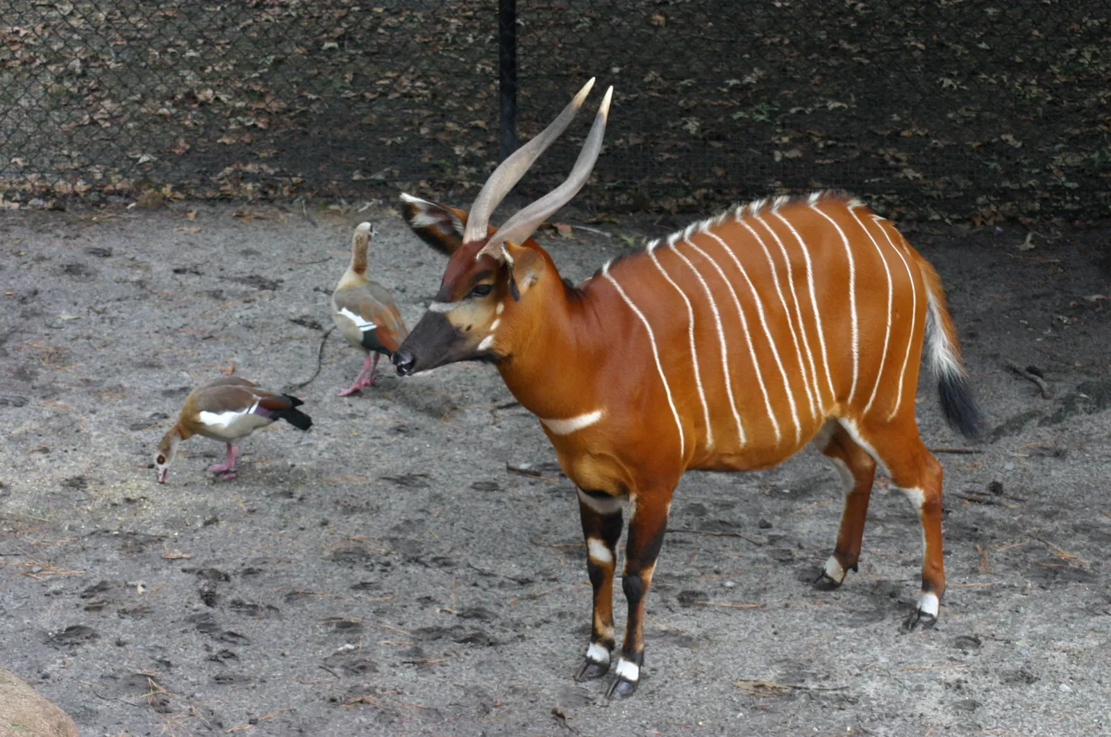 Virginia Zoological Park