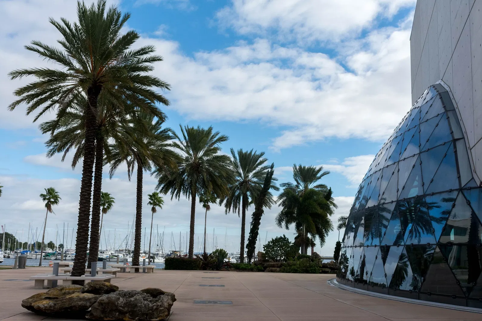 Dalí Museum (St. Petersburg)